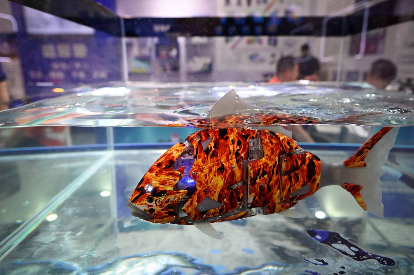 Fotos: Conferencia Mundial de Robots 2019