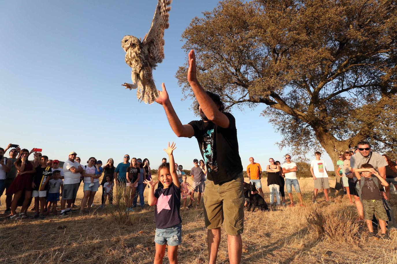 Fotos: Aves que emprenden de nuevo el vuelo