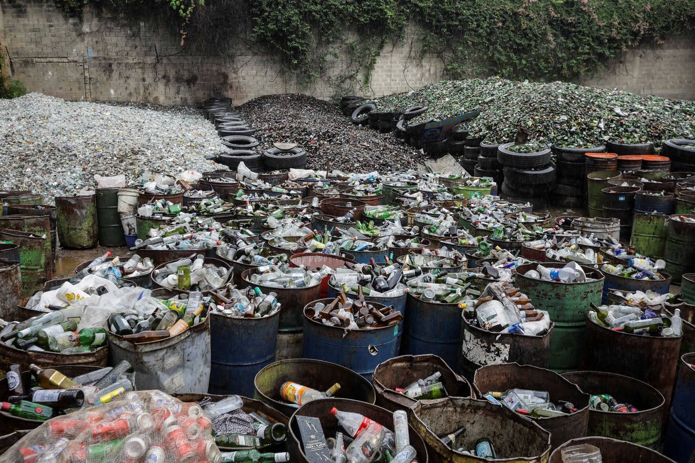 Fotos: La basura sale del mar y encuentra un camino reciclable en Venezuela