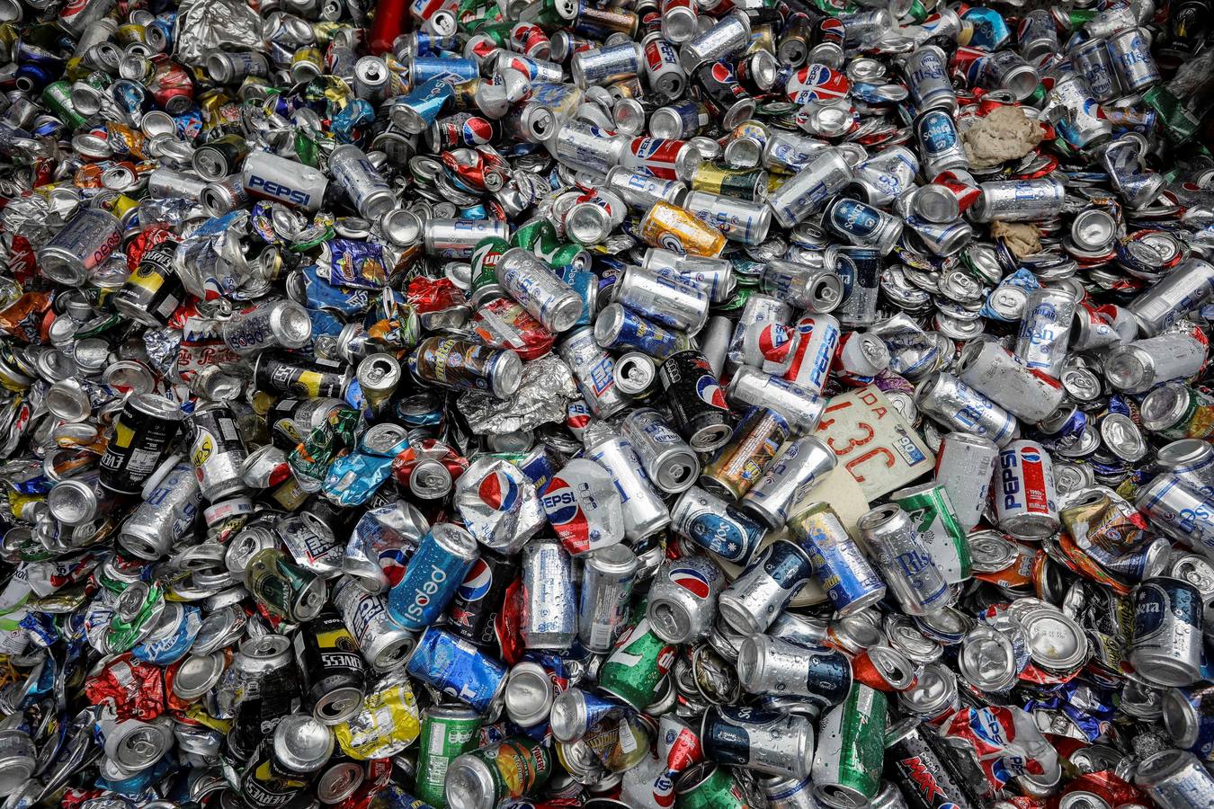 Fotos: La basura sale del mar y encuentra un camino reciclable en Venezuela