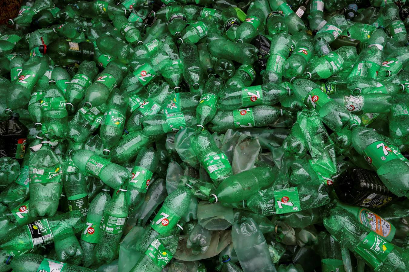 Fotos: La basura sale del mar y encuentra un camino reciclable en Venezuela