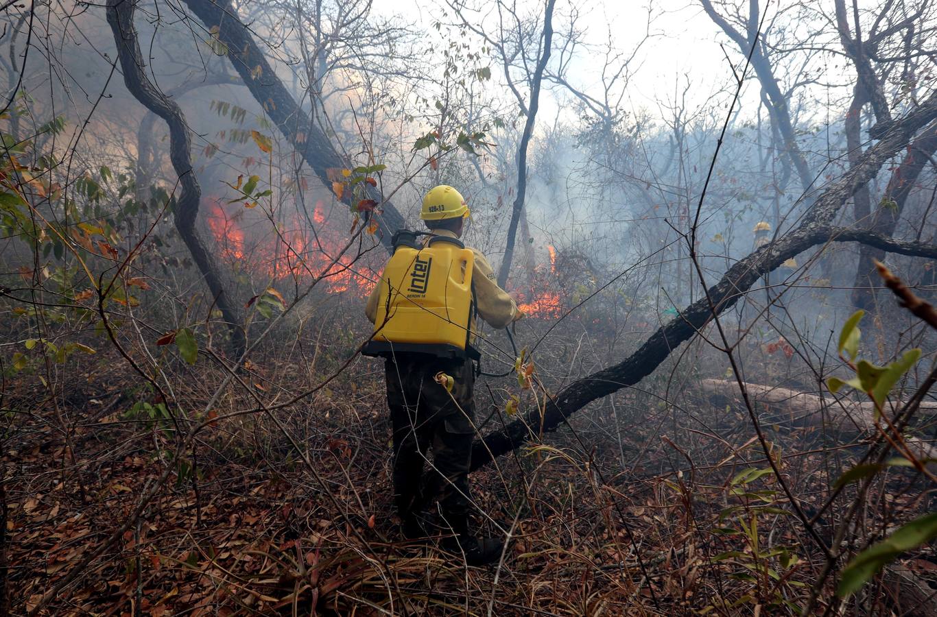 Fotos: Soldados y voluntarios, los héroes que luchan contra el fuego en Bolivia