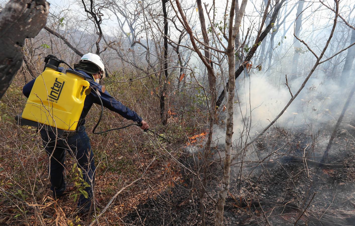 Fotos: Soldados y voluntarios, los héroes que luchan contra el fuego en Bolivia