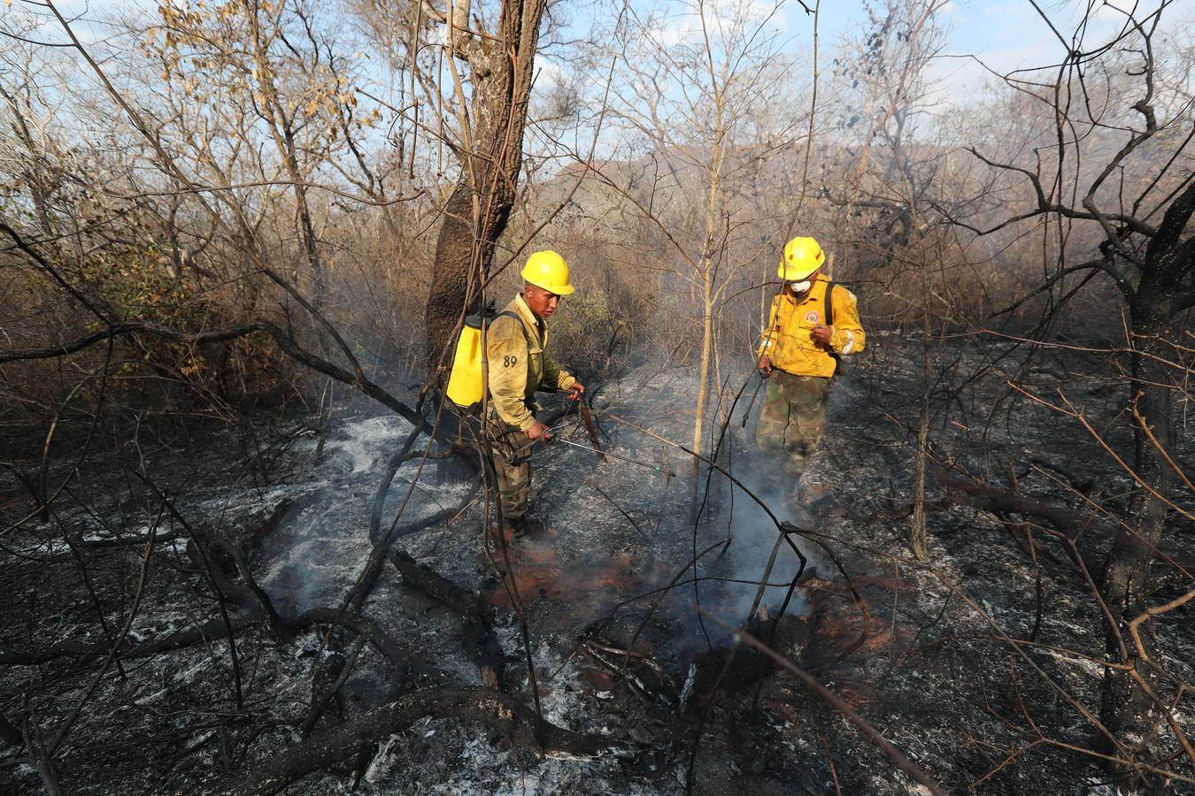 Fotos: Soldados y voluntarios, los héroes que luchan contra el fuego en Bolivia