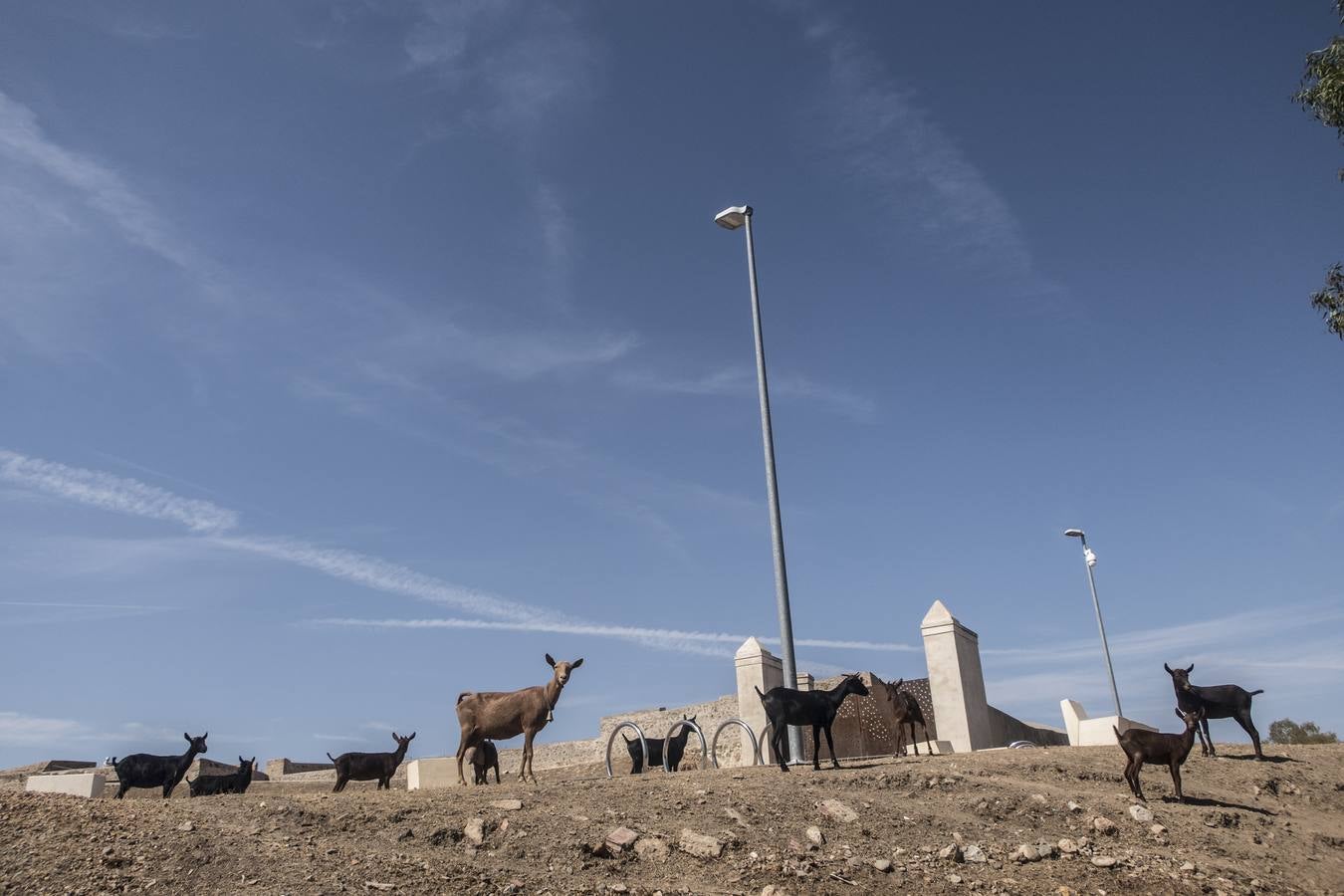 Entorno del Fuerte de San Cristóbal