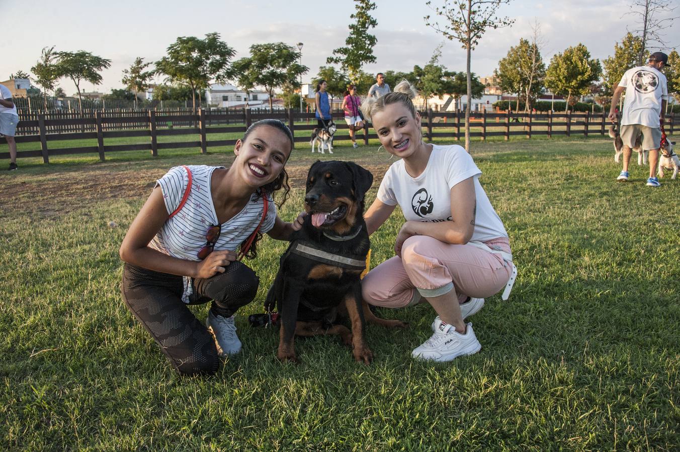 Fotos: El parque donde solo juegan los perros