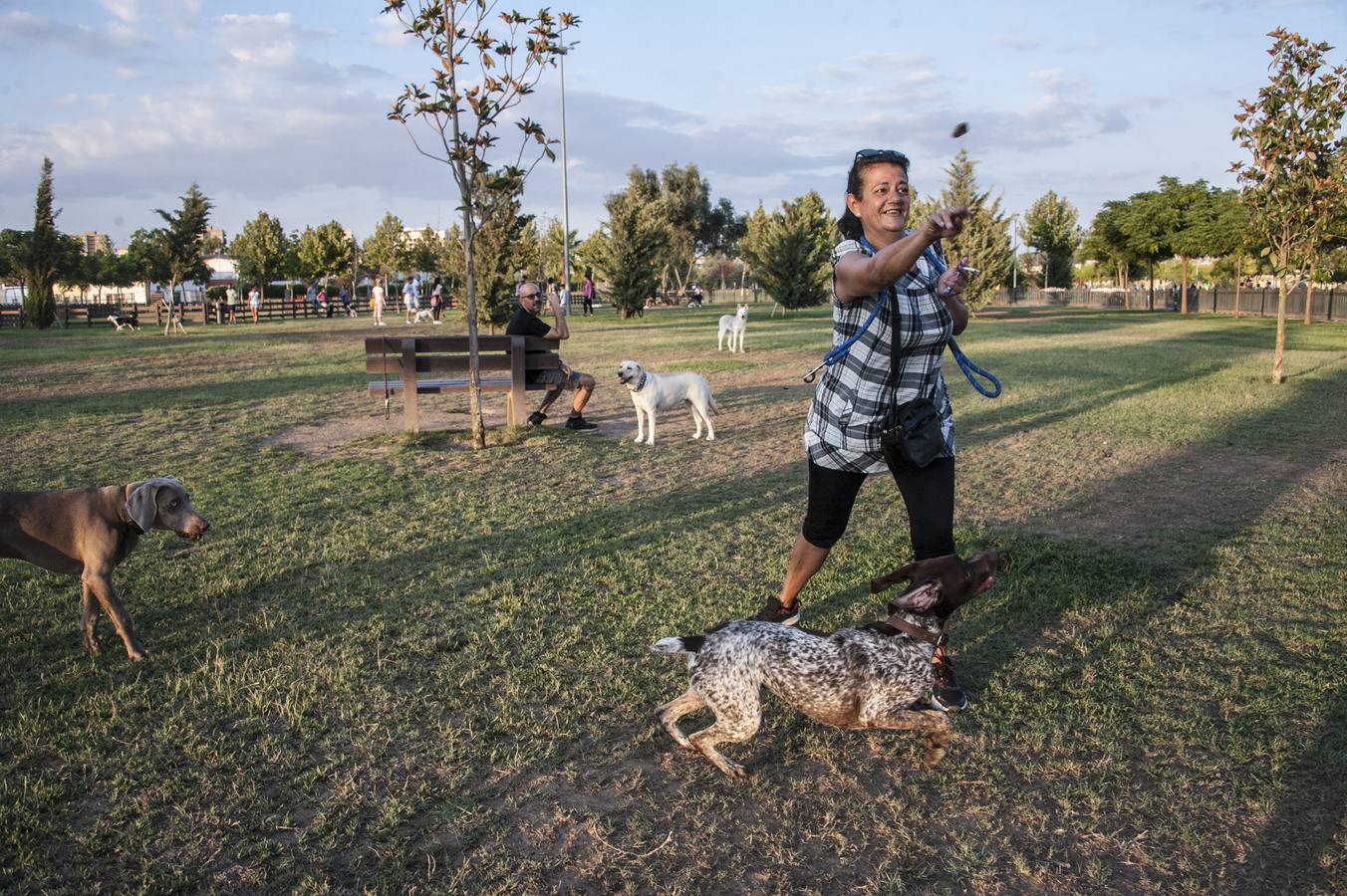 Fotos: El parque donde solo juegan los perros