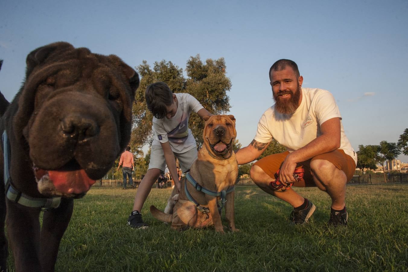 Fotos: El parque donde solo juegan los perros