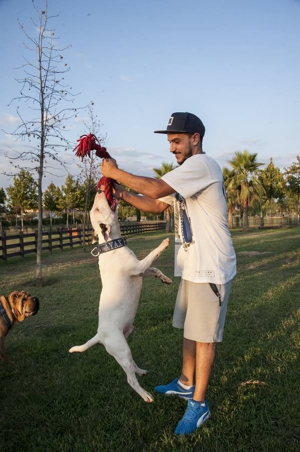 Fotos: El parque donde solo juegan los perros