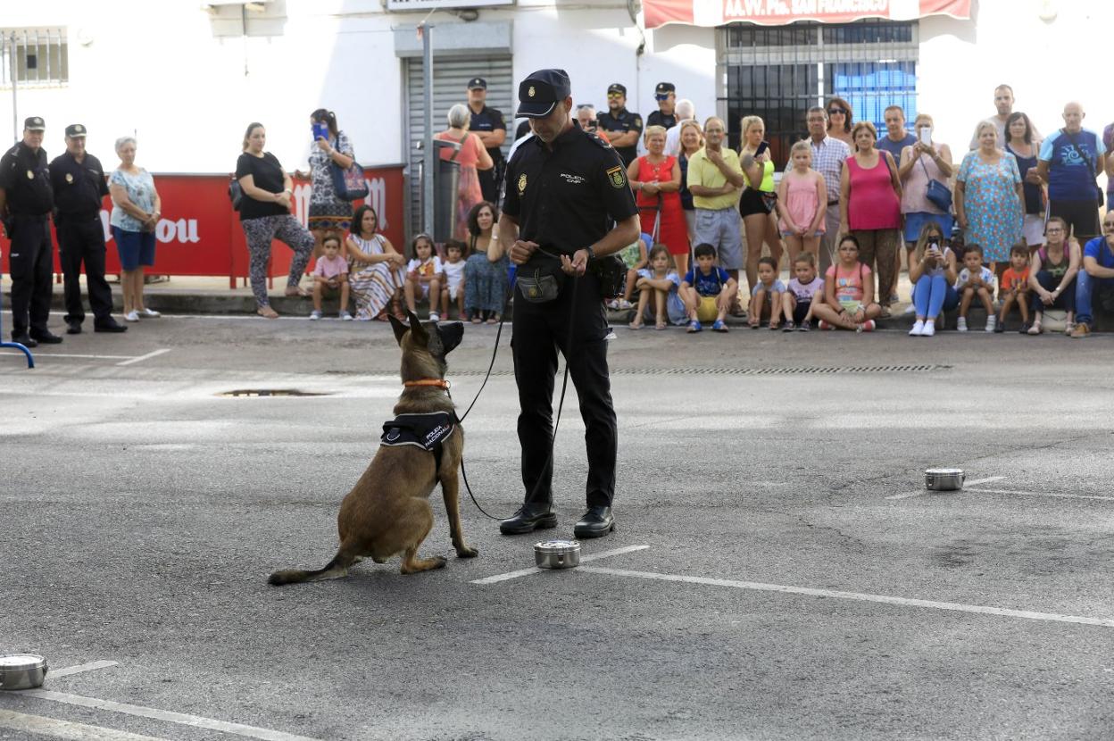 Simba, el pastor belga, sentado frente a su guía tras localizar explosivos en una tartera. :: L. CORDERO