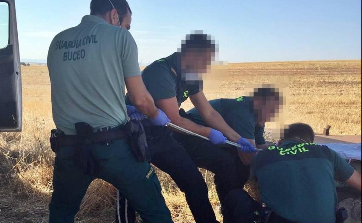 La Guardia Civil saca a los animales del pozo