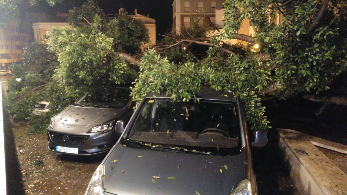 El temporal sigue sin dar tregua, se extiende a más provincias y este sábado se ha cobrado la séxta víctima mortal.