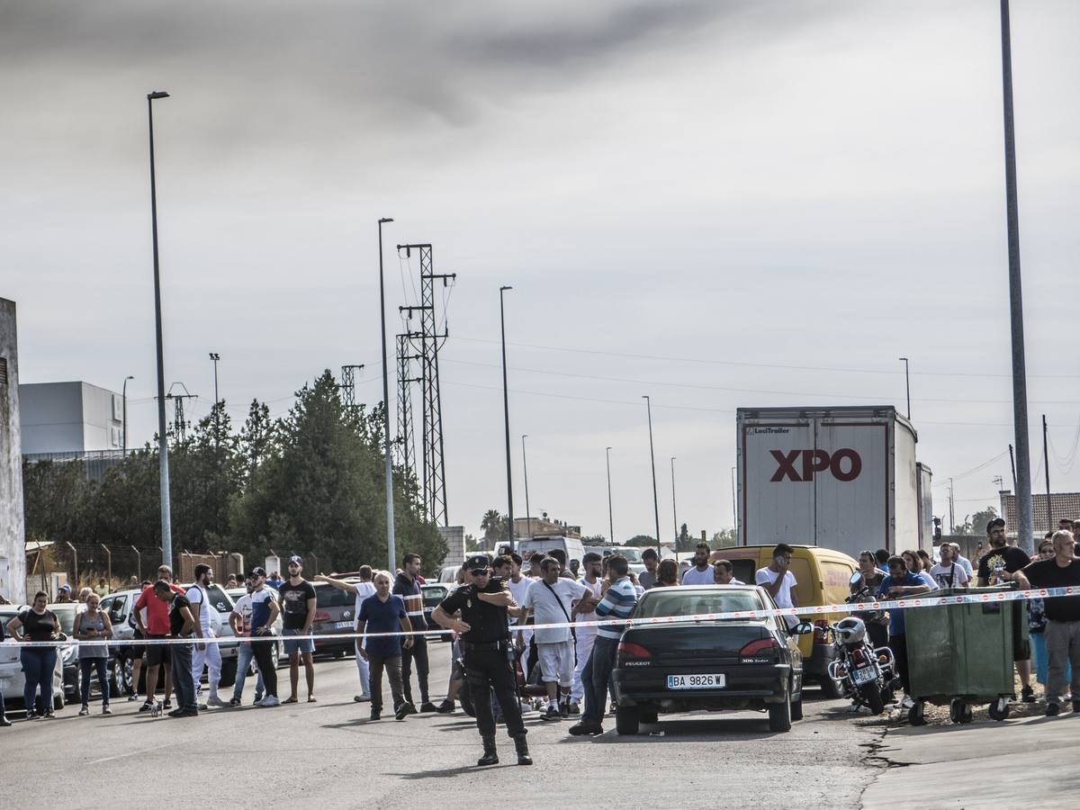 Fotos: Columna de humo causada por el incendio de la panificadora en Badajoz