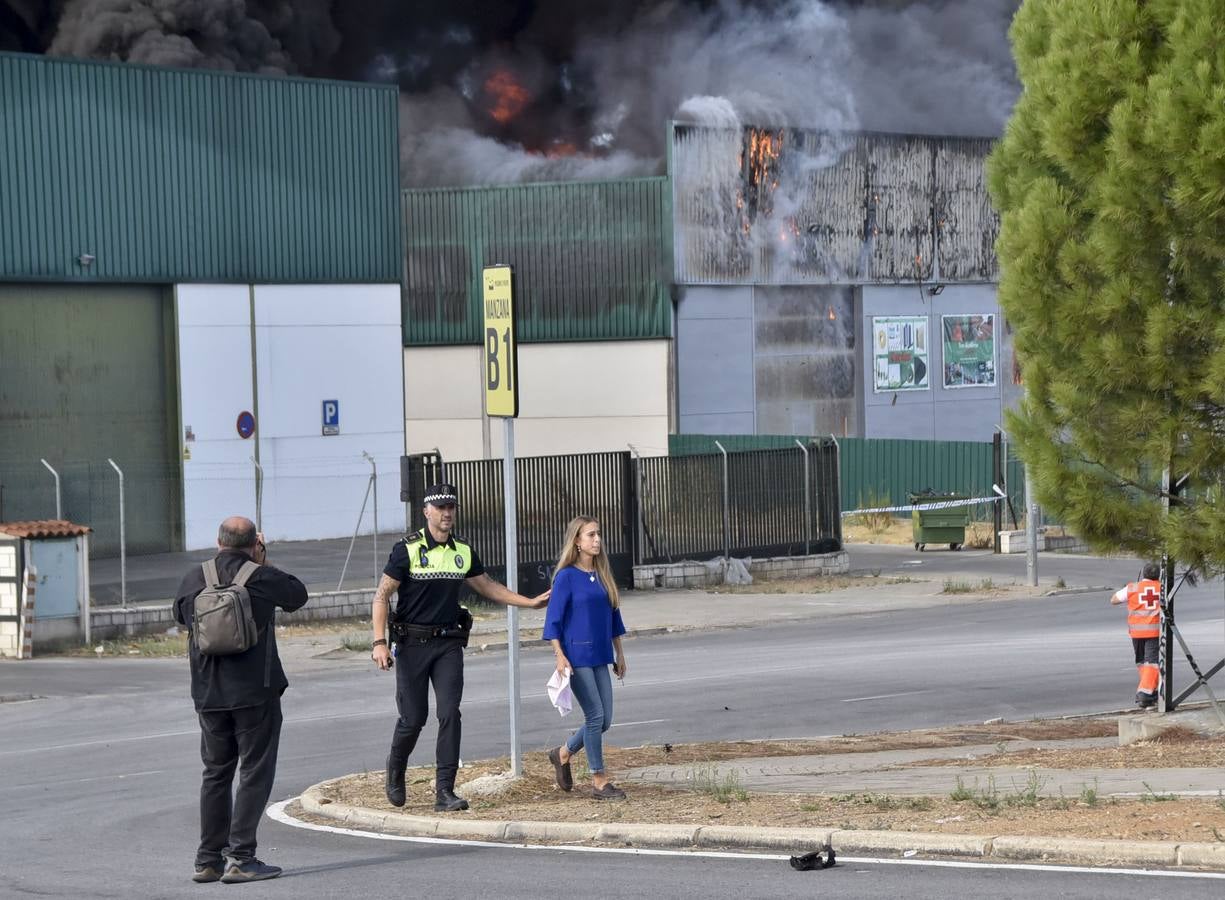 Fotos: Columna de humo causada por el incendio de la panificadora en Badajoz