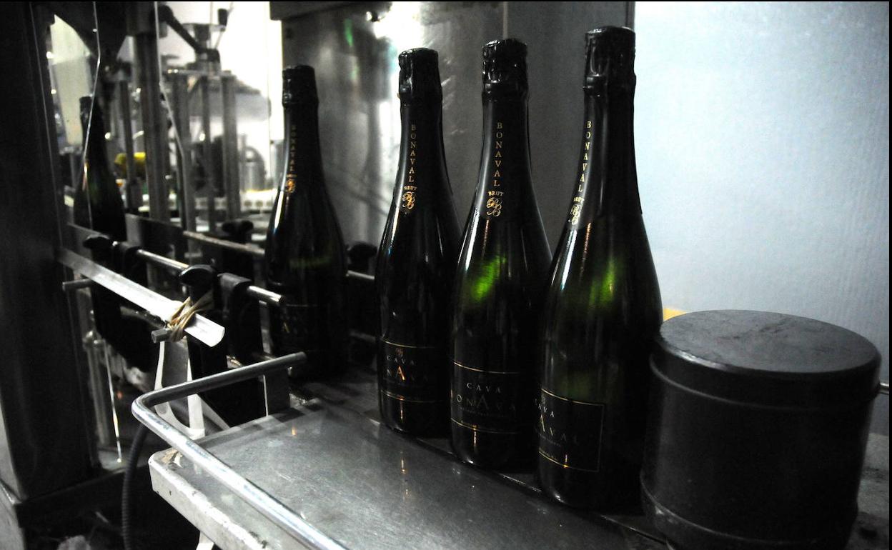 Embotellado de cava en Almendralejo. :: BRÍGIDO