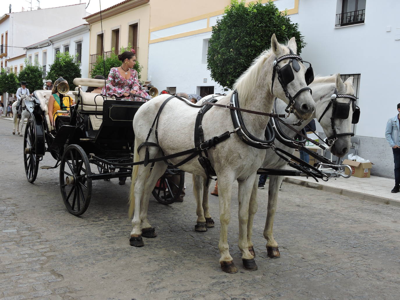 Fotos: Galería de fotos del Paseo a Caballo 2019 en Fregenal