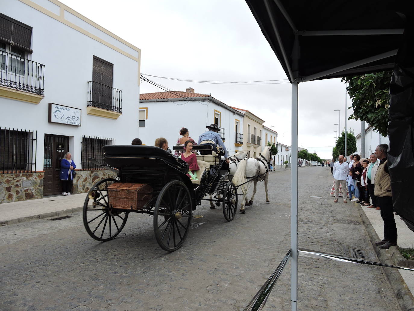 Fotos: Galería de fotos del Paseo a Caballo 2019 en Fregenal