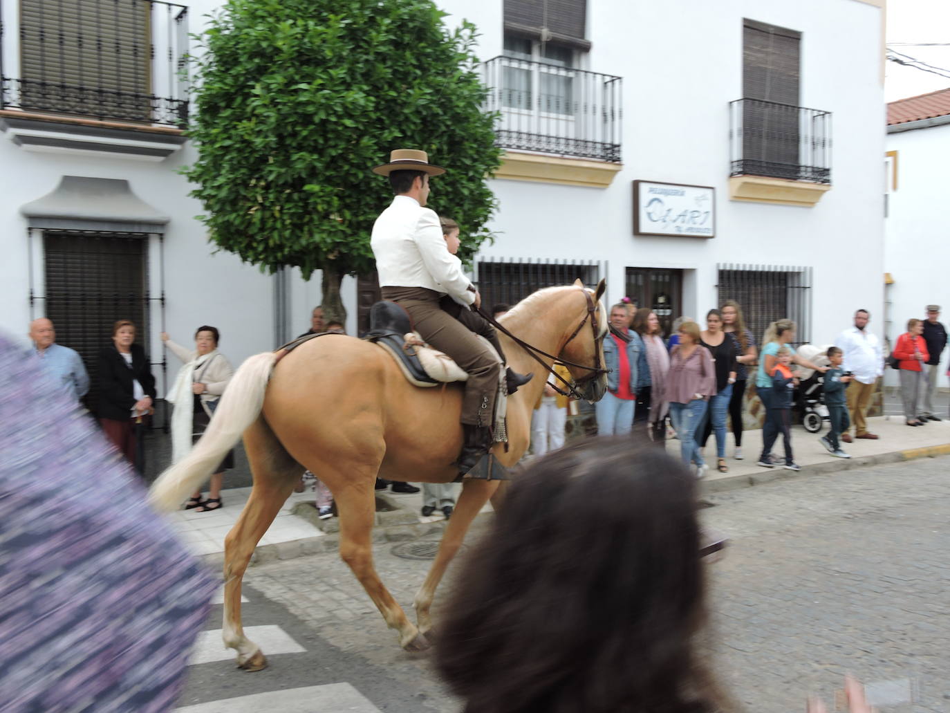 Fotos: Galería de fotos del Paseo a Caballo 2019 en Fregenal