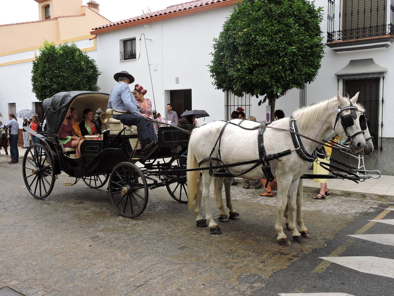 Fotos: Galería de fotos del Paseo a Caballo 2019 en Fregenal