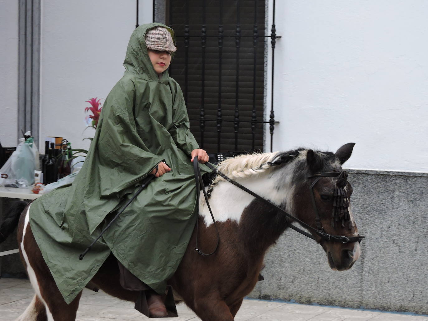 Fotos: Galería de fotos del Paseo a Caballo 2019 en Fregenal