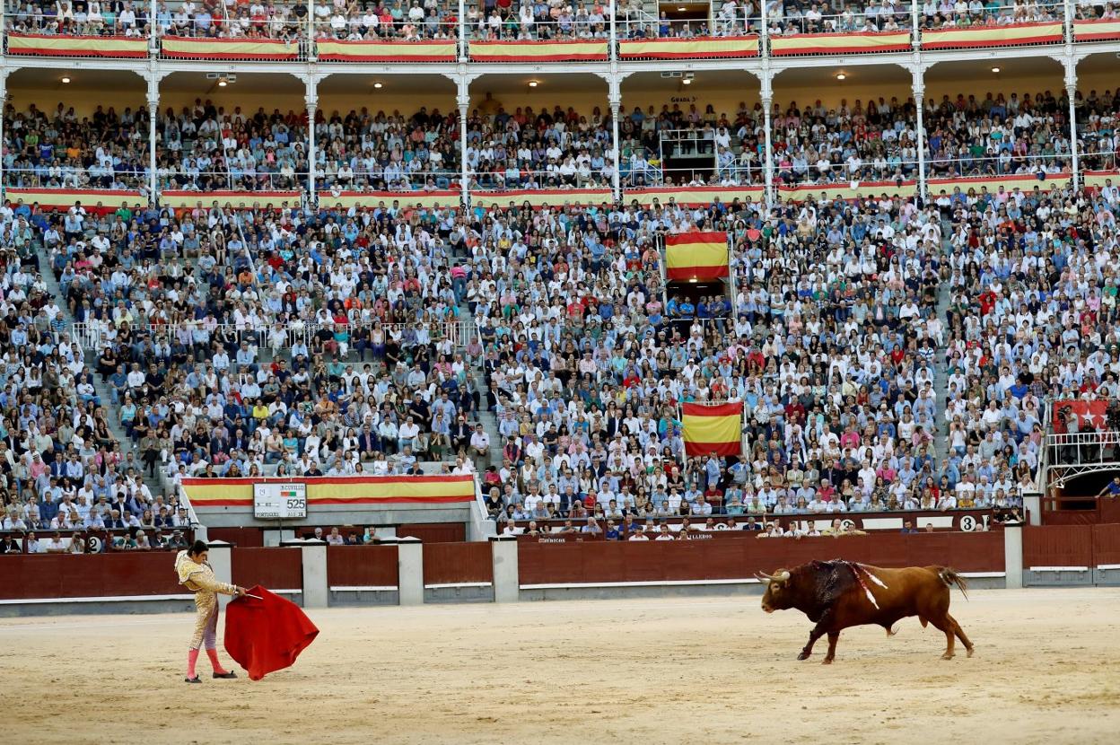 El de Puebla del Prior cita largo al quinto toro de la corrida de ayer en Las Ventas. :: efe