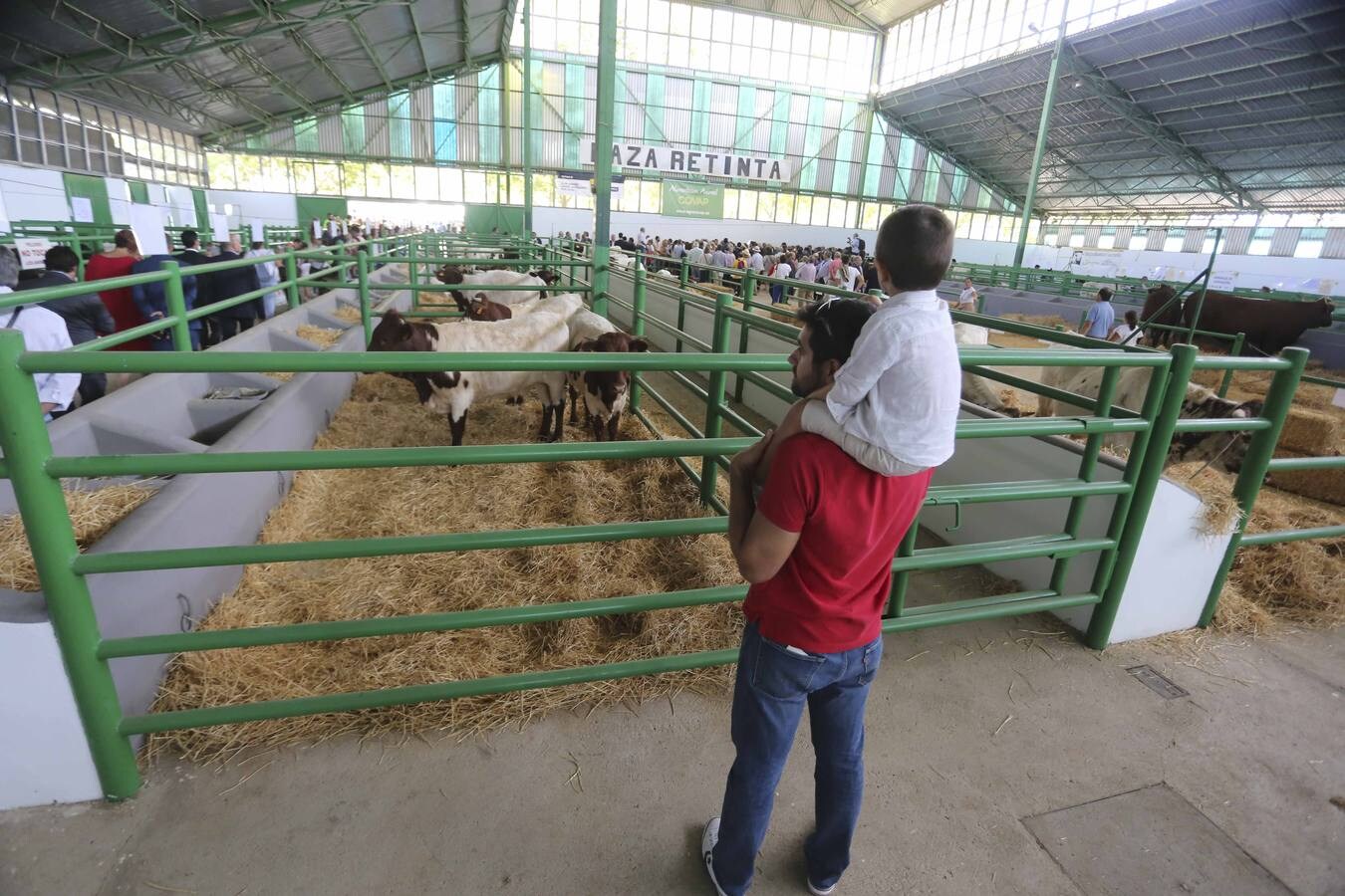 Fotos: Feria del ganado de Zafra