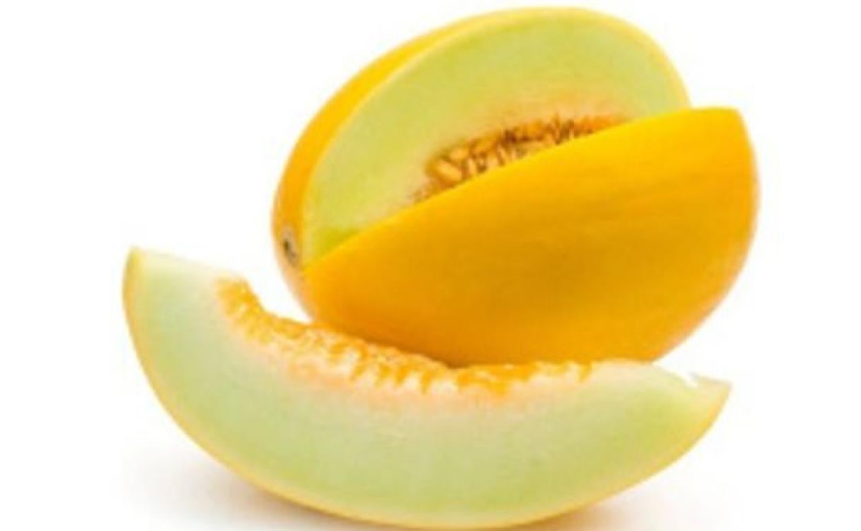 Melón de La Albuera:: HOY