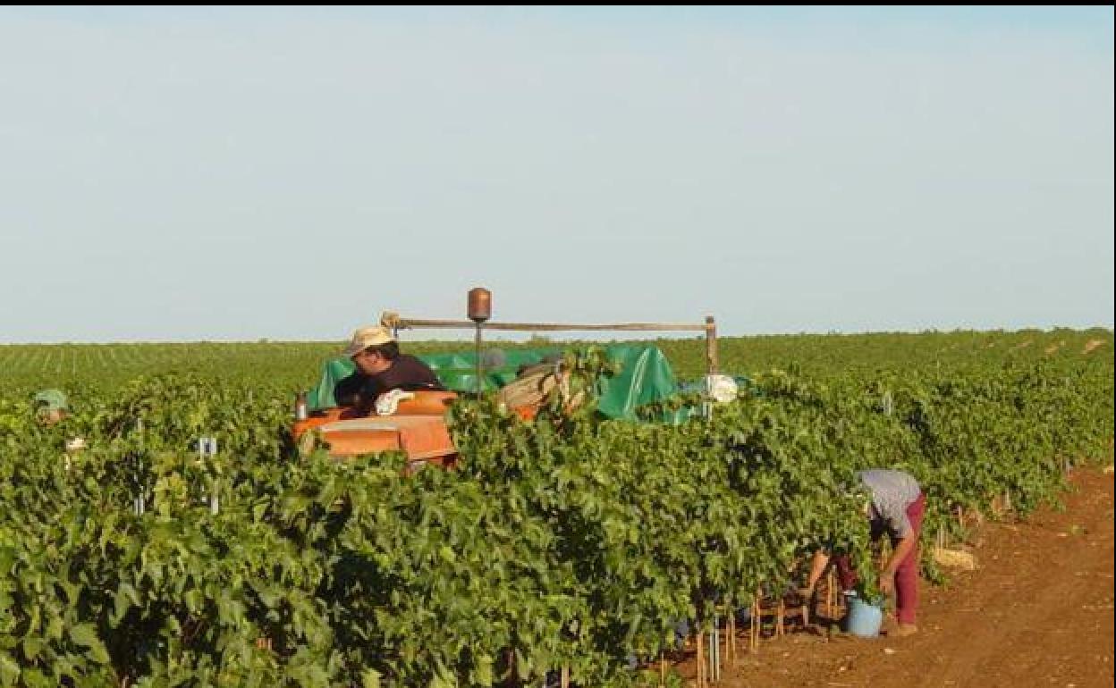 Aprobados otros 294 expedientes de mejora en regadíos y amplía en 5,6 millones la convocatoria inicial