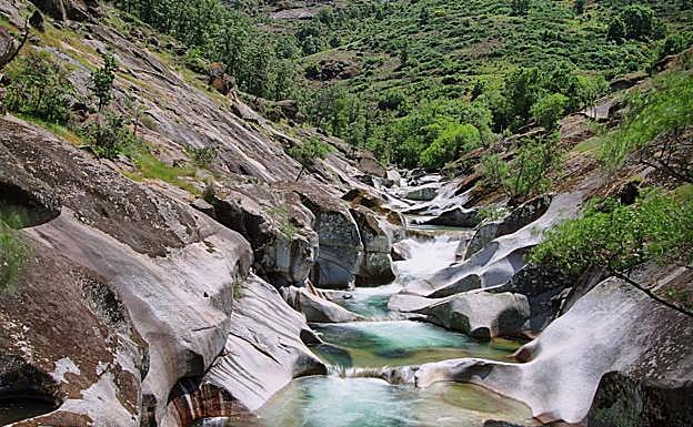 Los Pilones, en la Reserva de la Garganta de los Infiernos:: HOY
