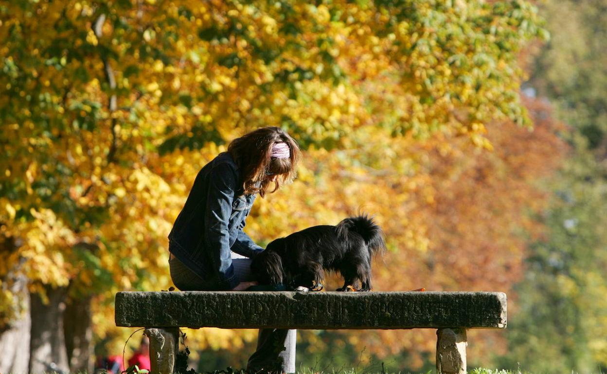Día de otoño soleado:: HOY