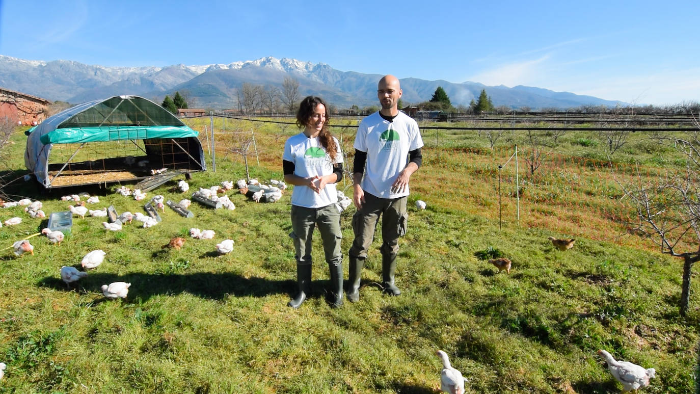 La empresa Granjea cría pollos y cultiva granadas con métodos ecológicos 
