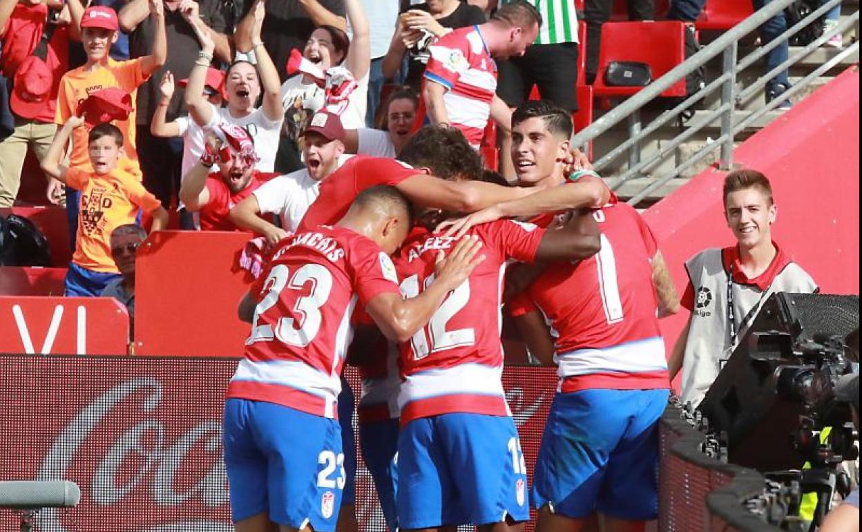 Los jugadores del Granada celebran el gol de Vadillo.