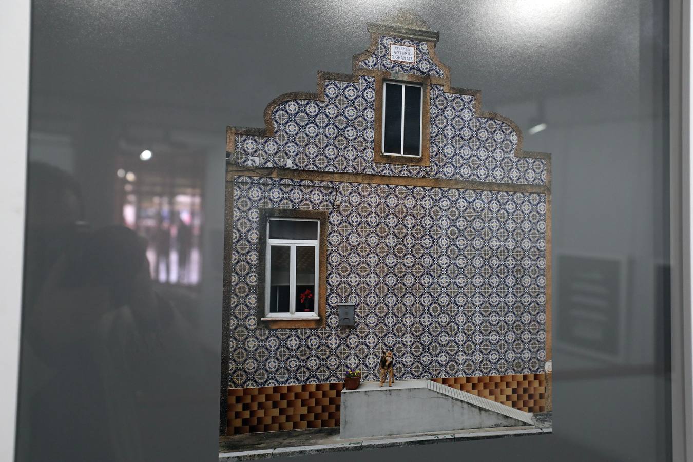 Fotos: &#039;Lo Cotidiano&#039; exposición del artista visual Tete Alejandre