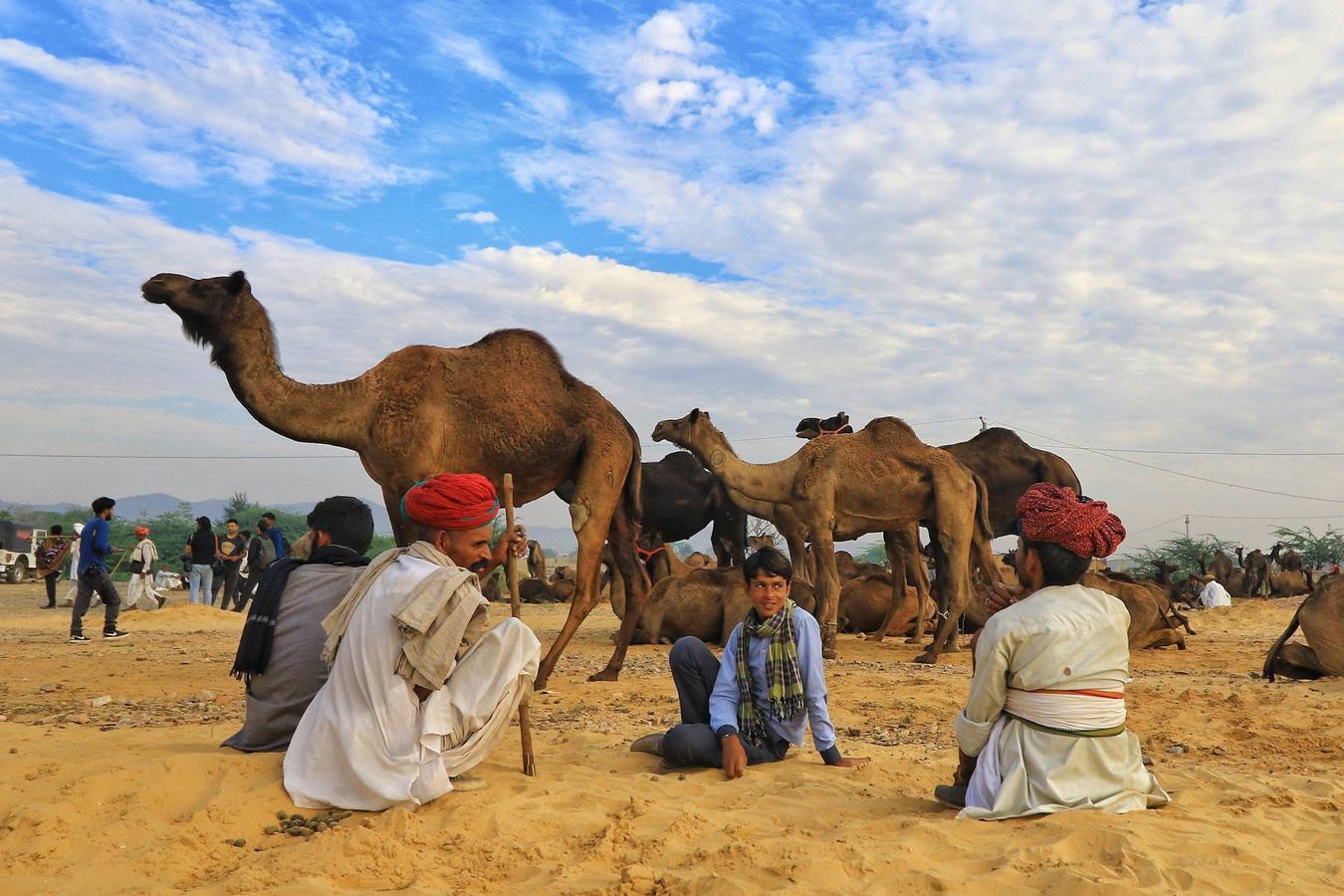 Fotos: Comerciantes de camellos durante la Feria Pushkar 2019