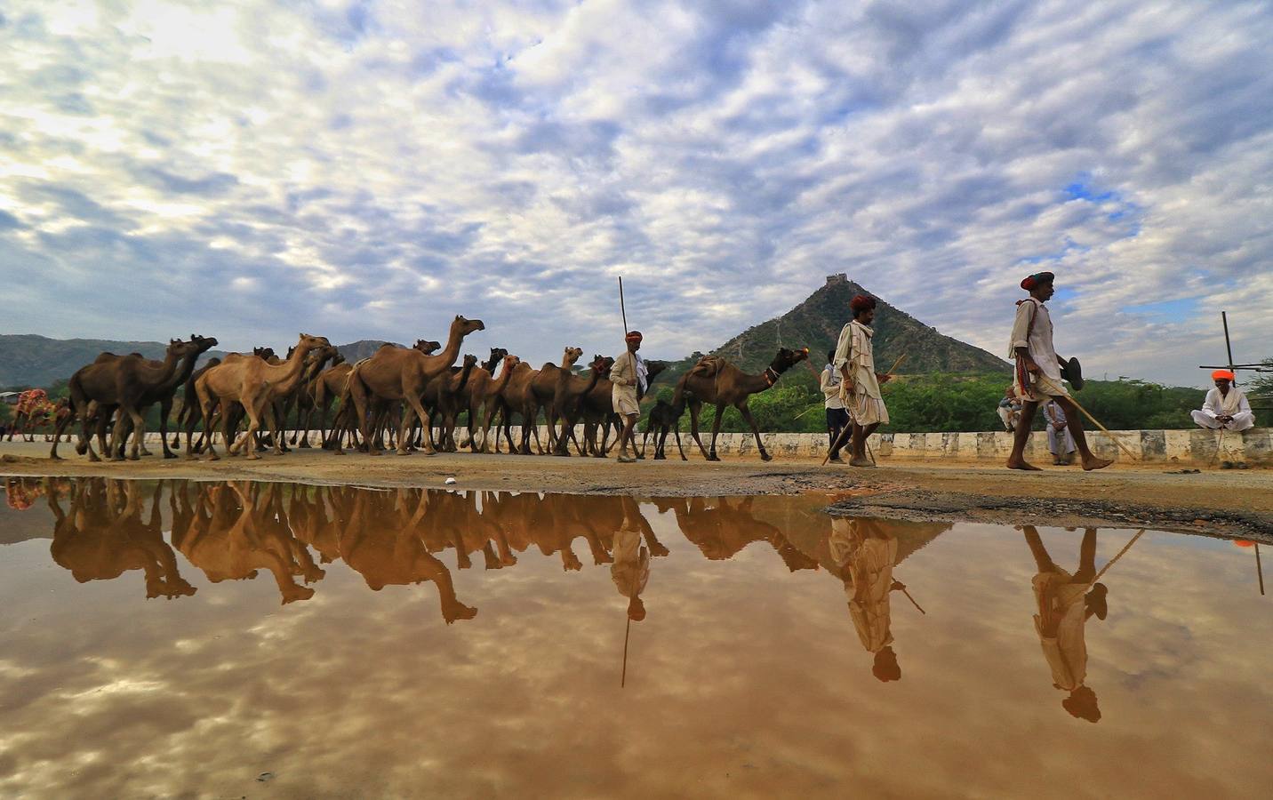 Fotos: Comerciantes de camellos durante la Feria Pushkar 2019