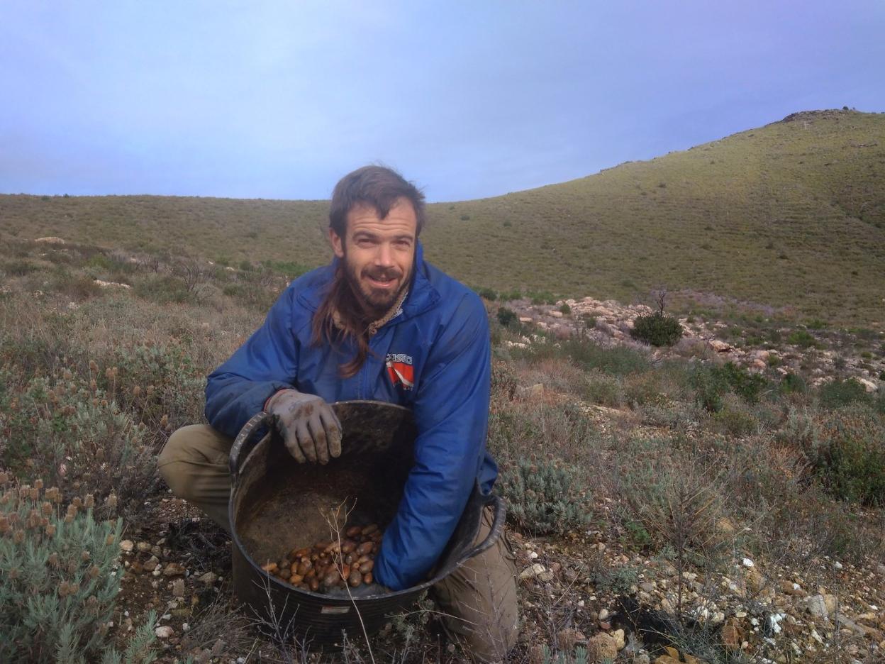 Rodrigo Ibarrondo en un día de siembra de bellotas. :: hoy