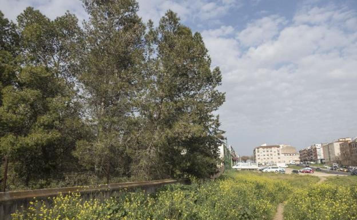 Solar donde está previsto que vaya el campo de fútbol. 