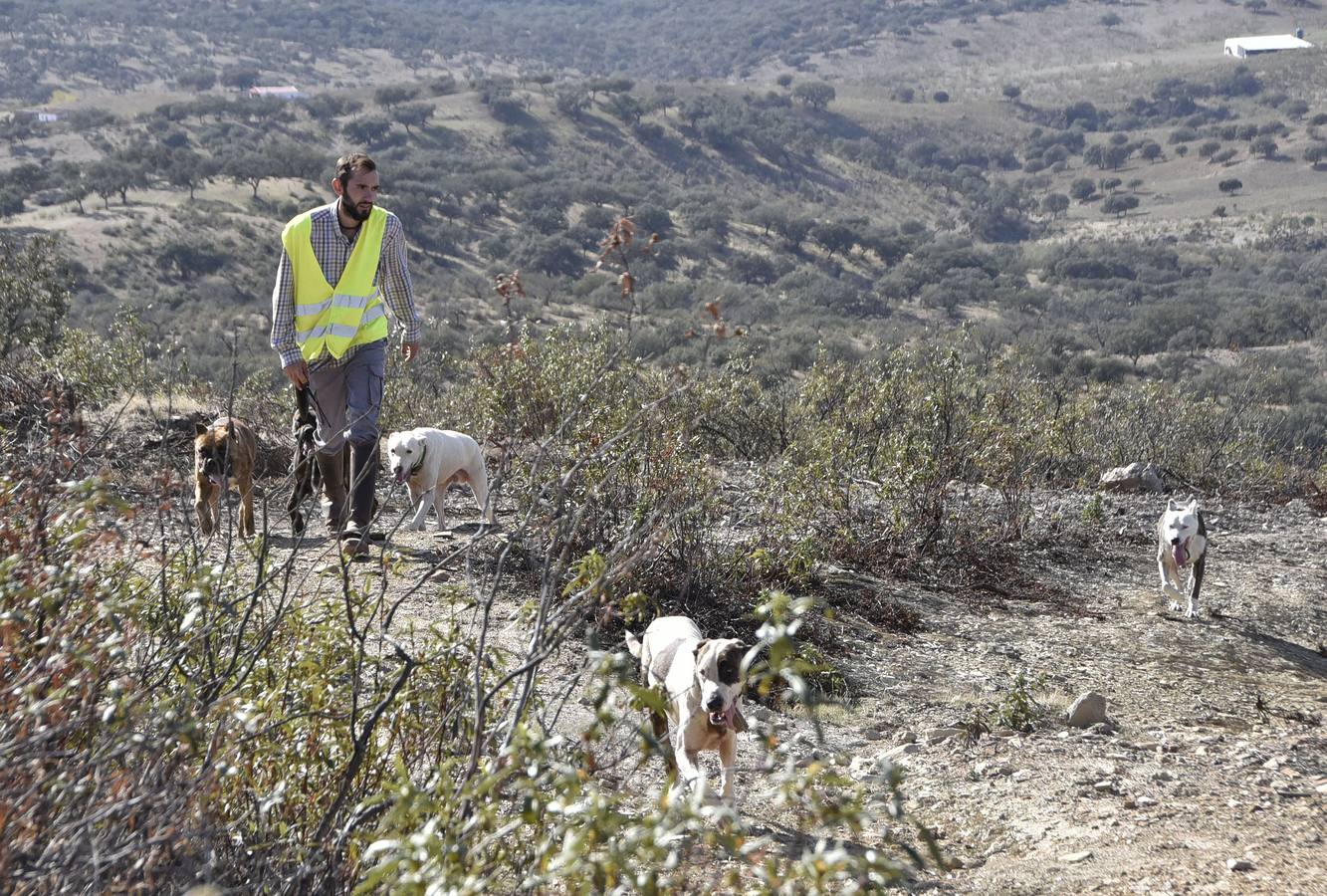 Fotos: Montería social, caza para todos los bolsillos