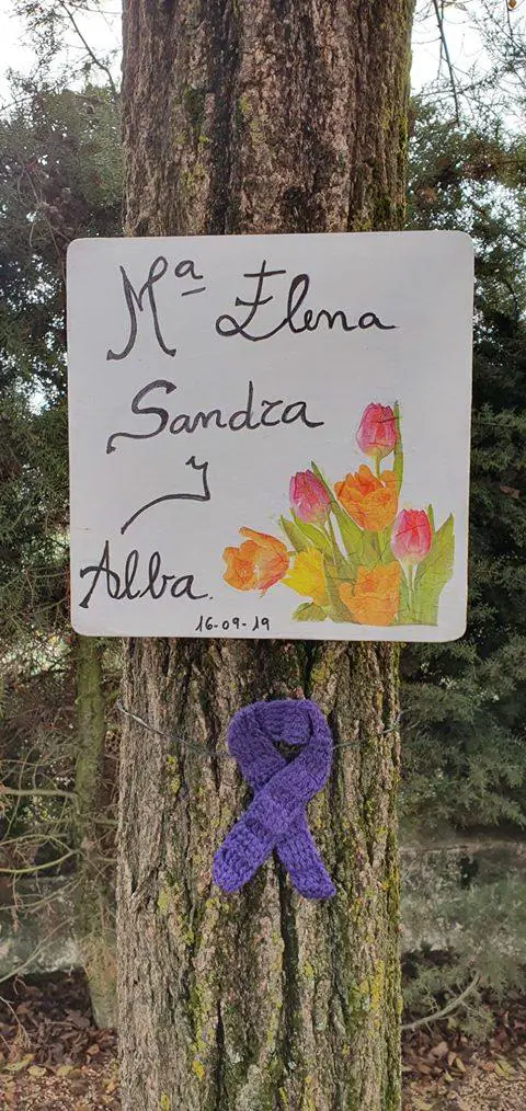 En Medina de las Torres han colocado tablas decoradas con el nombre de todas las mujeres asesinas en 2019 por violencia machista junto a un lazo violeta.