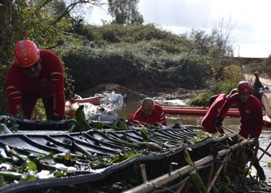 Imagen secundaria 1 - Noventa voluntarios de Cruz Roja colaboran con la UME en la extracción de camalote en el Guadiana