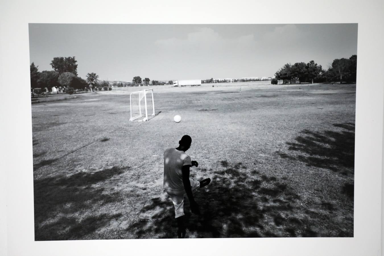Fotos: El patio de la Asamblea de Extremadura acoge la exposición &#039;La revelación de la empatía&#039;