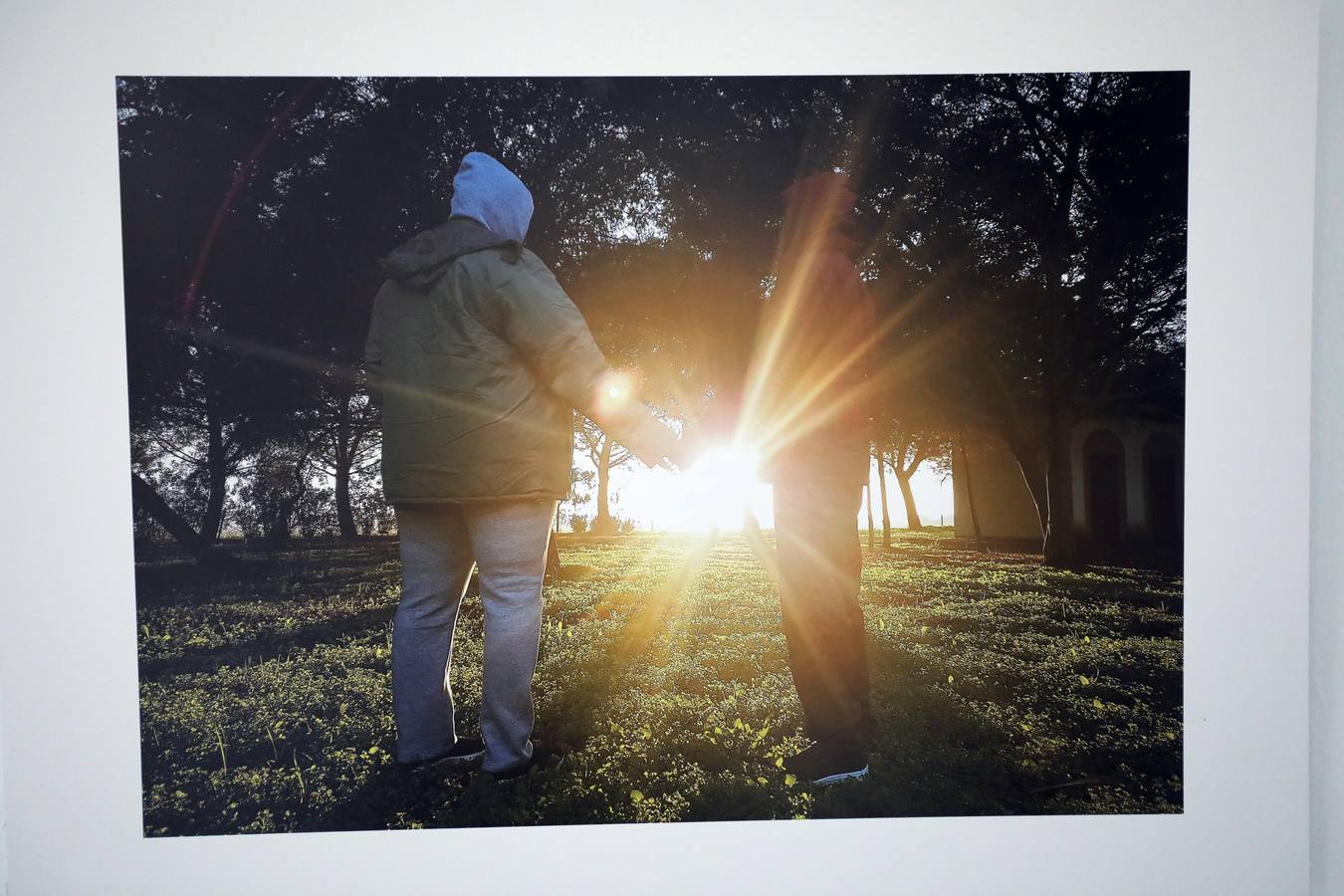 Fotos: El patio de la Asamblea de Extremadura acoge la exposición &#039;La revelación de la empatía&#039;