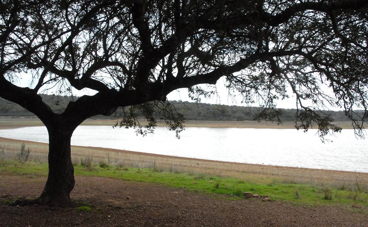 Jornada de limpieza para voluntarios en el parque natural de Cornalvo el día 14