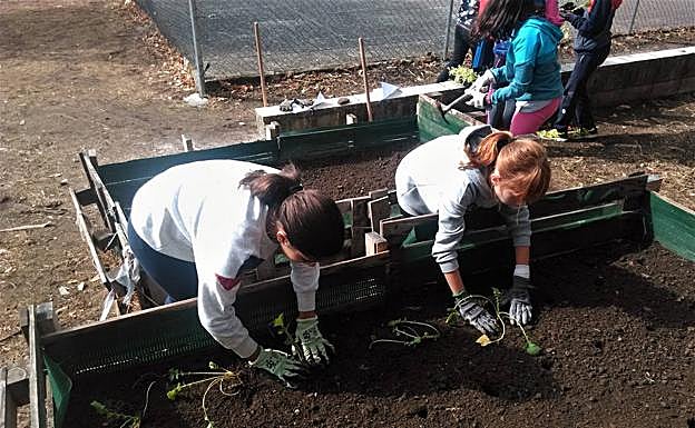 Dos alumnas del colegio de Arroyo de la Luz en el huerto escolar. :: HOY