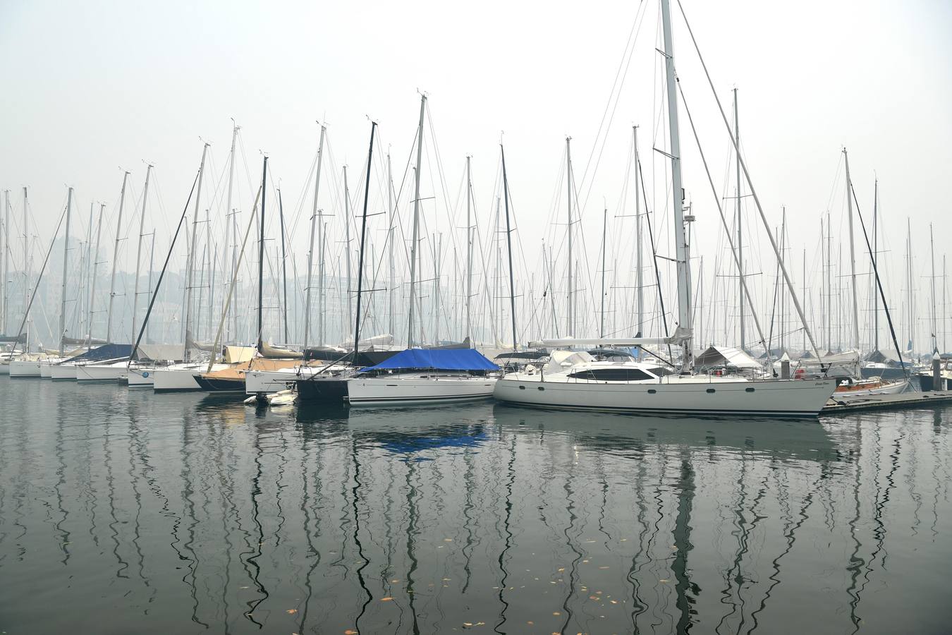 Fotos: El humo y la neblina de los incendios en Nueva Gales del Sur se cierne sobre Sydney