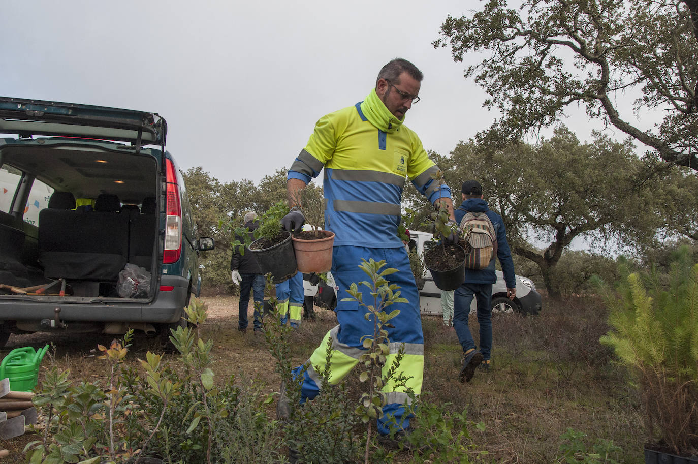 El lugar elegido en Badajoz para reforestar fue la parte alta del parque que perdió siete hectáreas en el incendio de 2017