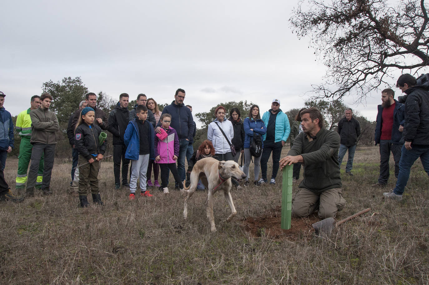 El lugar elegido en Badajoz para reforestar fue la parte alta del parque que perdió siete hectáreas en el incendio de 2017
