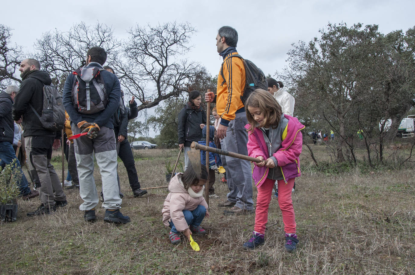 El lugar elegido en Badajoz para reforestar fue la parte alta del parque que perdió siete hectáreas en el incendio de 2017