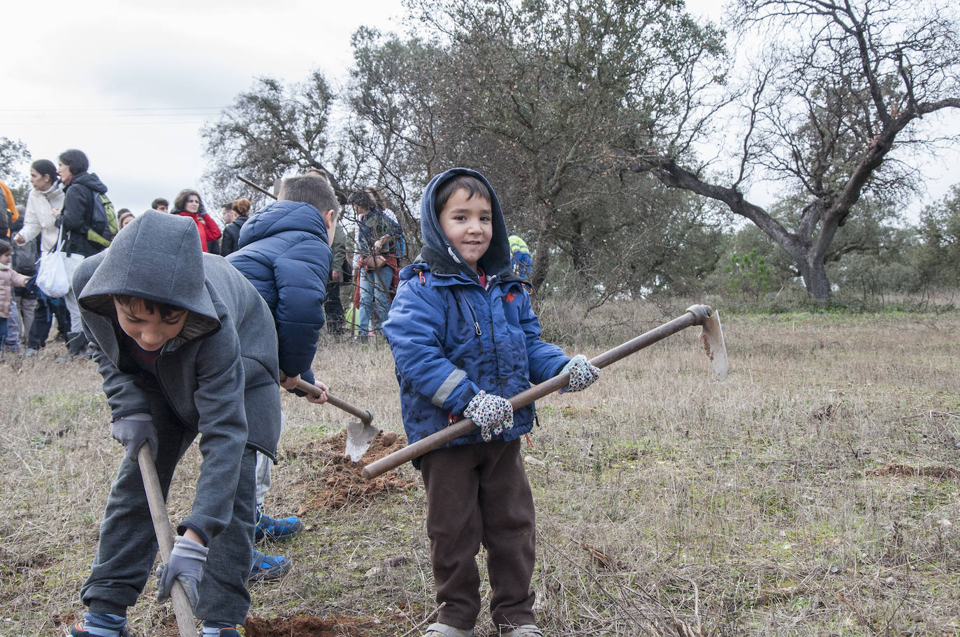 El lugar elegido en Badajoz para reforestar fue la parte alta del parque que perdió siete hectáreas en el incendio de 2017