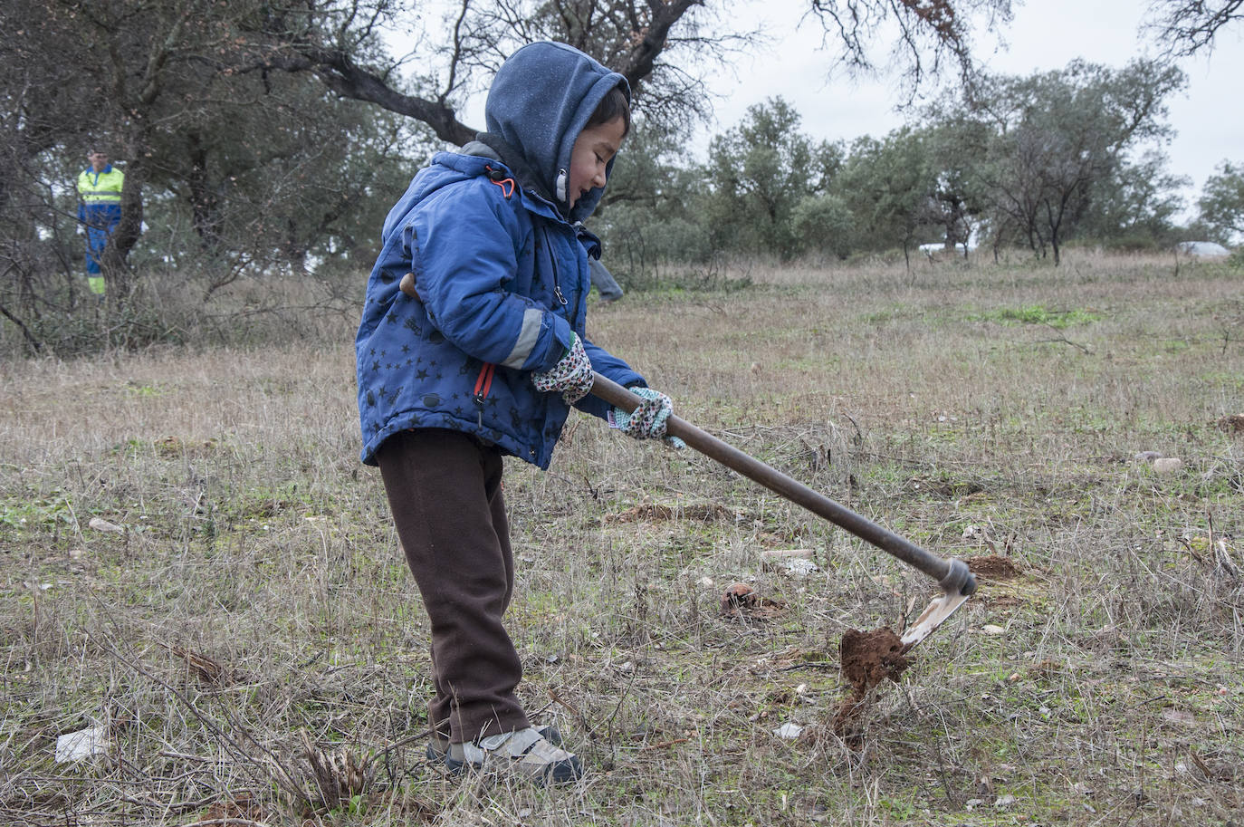 El lugar elegido en Badajoz para reforestar fue la parte alta del parque que perdió siete hectáreas en el incendio de 2017